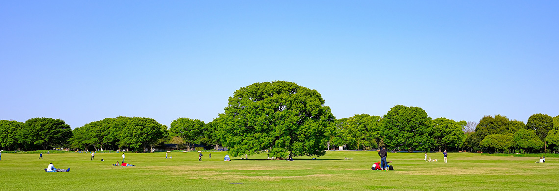 【東京都立川市】アスレチックと自然を楽しみたいなら国営昭和記念公園
